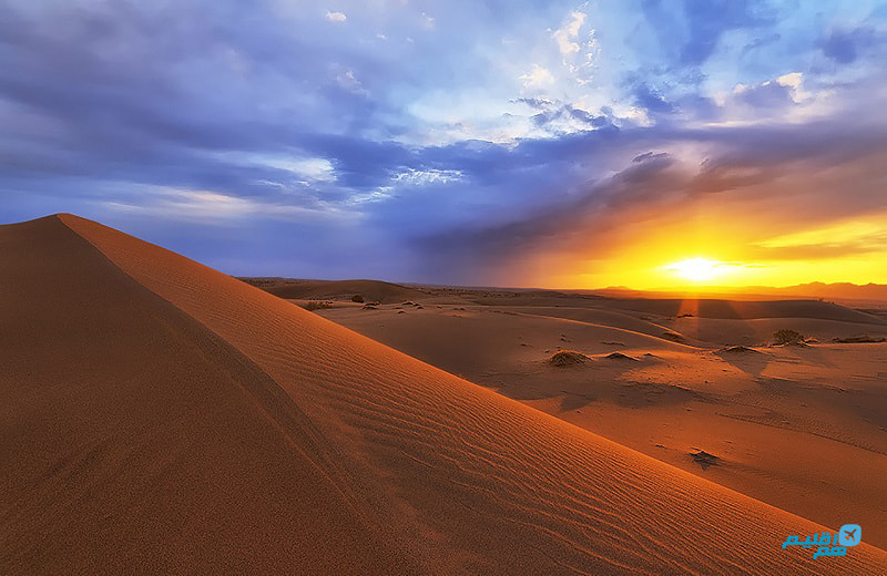 کویر مصر