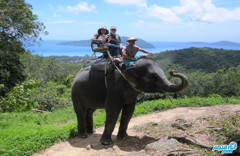 فیل سواری در پوکت