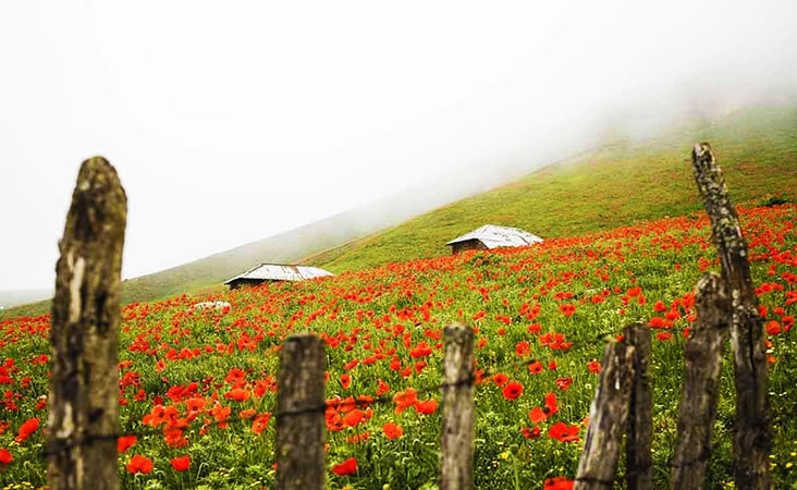 سفر به سوباتان