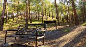 6 پارک جنگلی در دل پایتخت که باید رفت