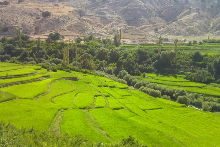 جاهای دیدنی باغ ملک