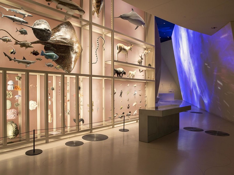 موزه ملی دوحه قطر