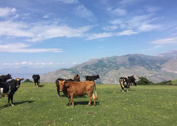 روستای گلدیان رودبار