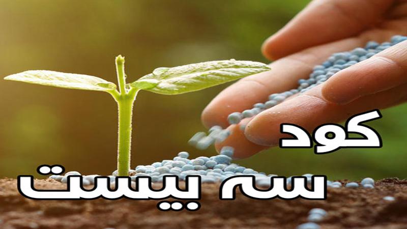 سه بیست-بهترین کود برای رشد سریع گیاهان آپارتمانی!