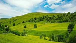 dasht-arjan دشت ارژن