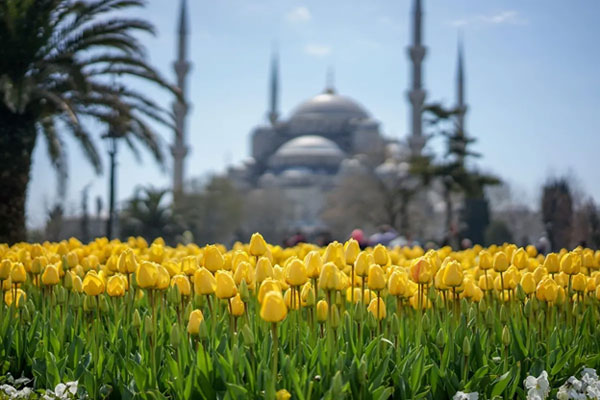 لیست فستیوال های استانبول (15 جشواره برتر) 2 جشنواره های استانبول در بهار و تابستان