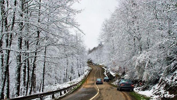 پارک جنگلی ناهار خوران گرگان | راهنمای جامع بازدید، جاذبهها و امکانات 7 ناهارخوران گرگان در زمستان، سکوت جنگل و مه صبحگاهی