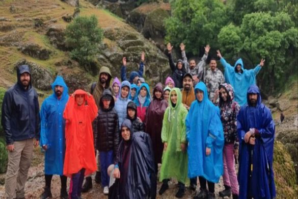 تورهای داخلی و خارجی نارون