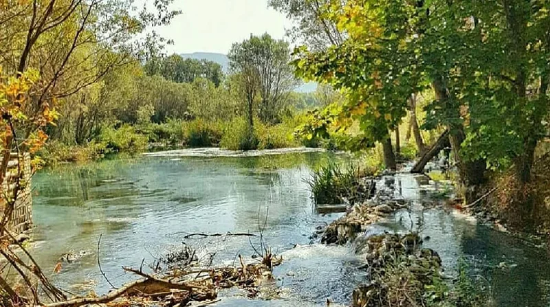 جاهای دیدنی اطراف شیراز: سفر به دل تاریخ و طبیعت 3 دشت ارژن از دیدنیهای اطراف شیراز