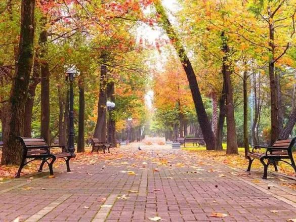 جاذبه‌های دیدنی تهران در پاییز