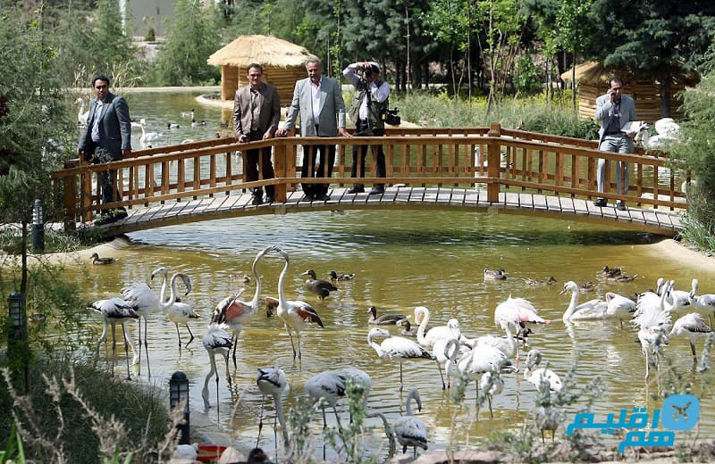 باغ پرندگان تهران2