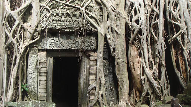  معبد انگکور وات