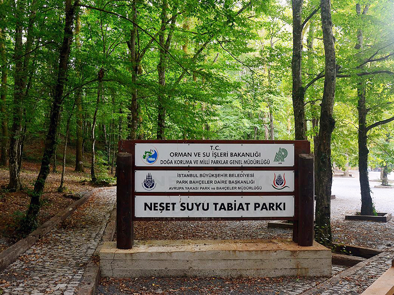 جنگل بلگراد استانبول