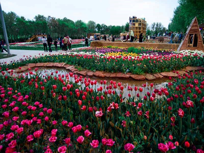باغ گل‌های بوستان چمران| جشنواره لاله های پارک چمران کرج