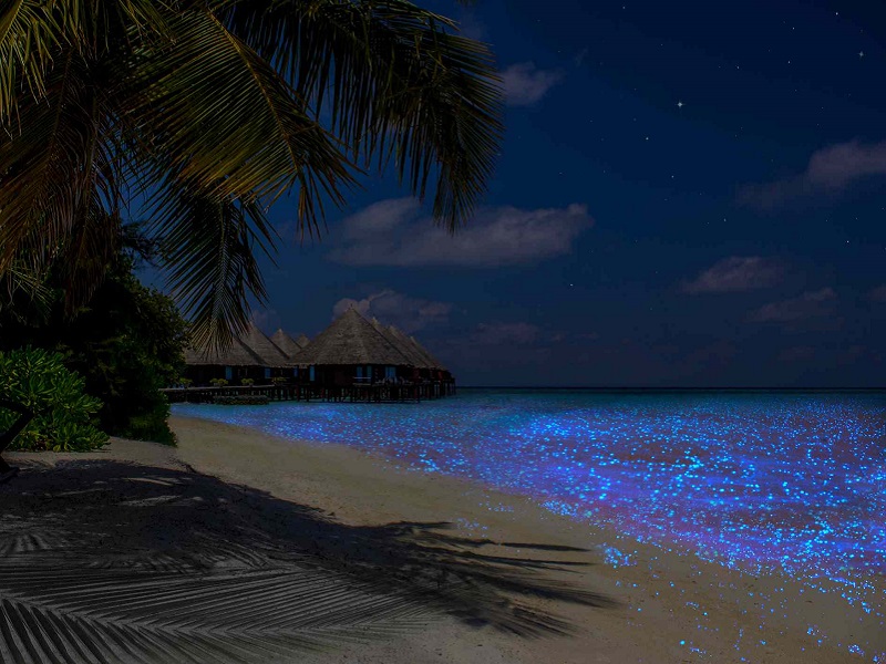 جزیره ولیگاندو مالدیو