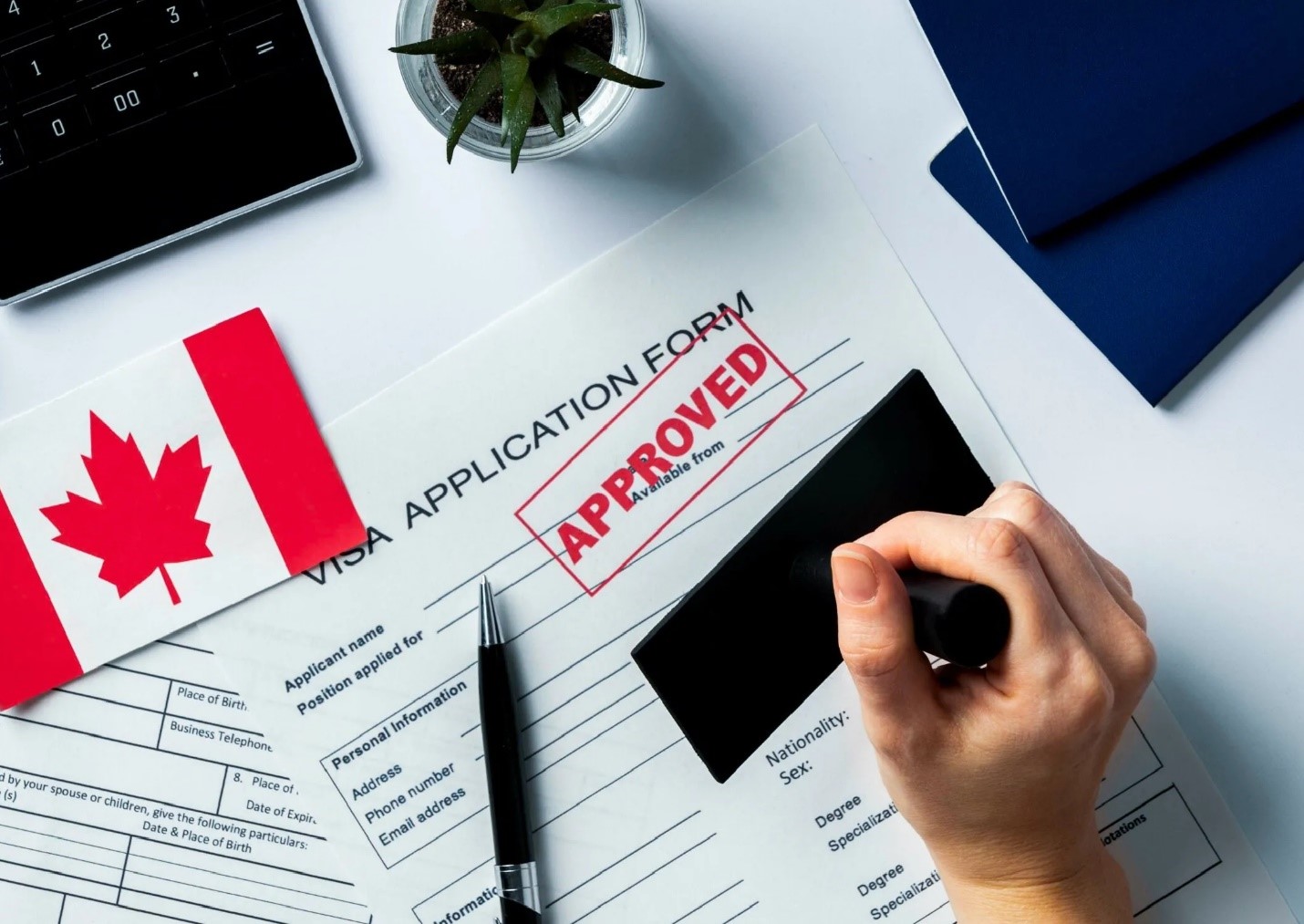 چگونه می‌توان ویزای تولد فرزند کانادا را دریافت کرد؟