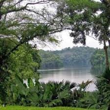 Soberania پارک ملی در پاناما سیتی