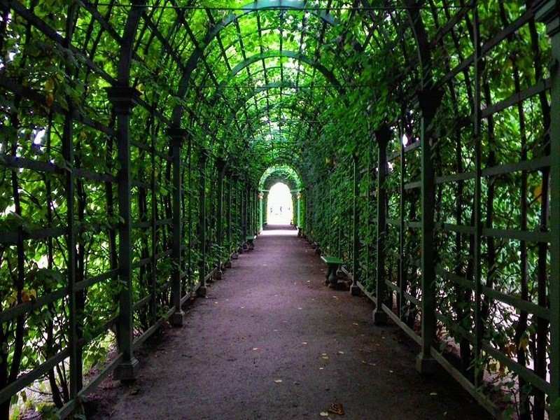 حصار باغ تابستانی سن پترزبورگ