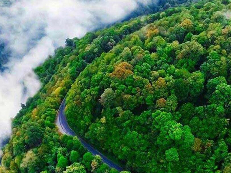 جنگل ارسباران آذربایجان شرقی